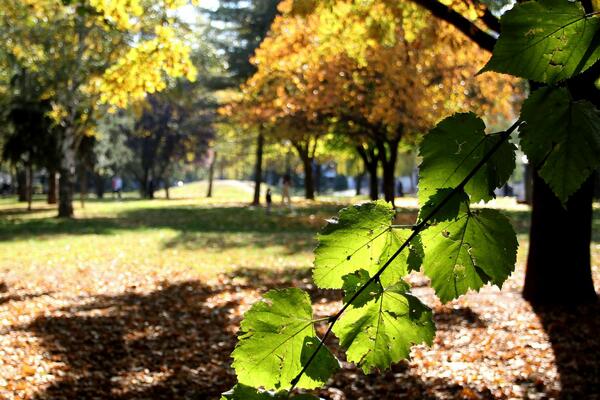 Izvor: Beta/RTS / Foto: Beta/Dragan Gojić